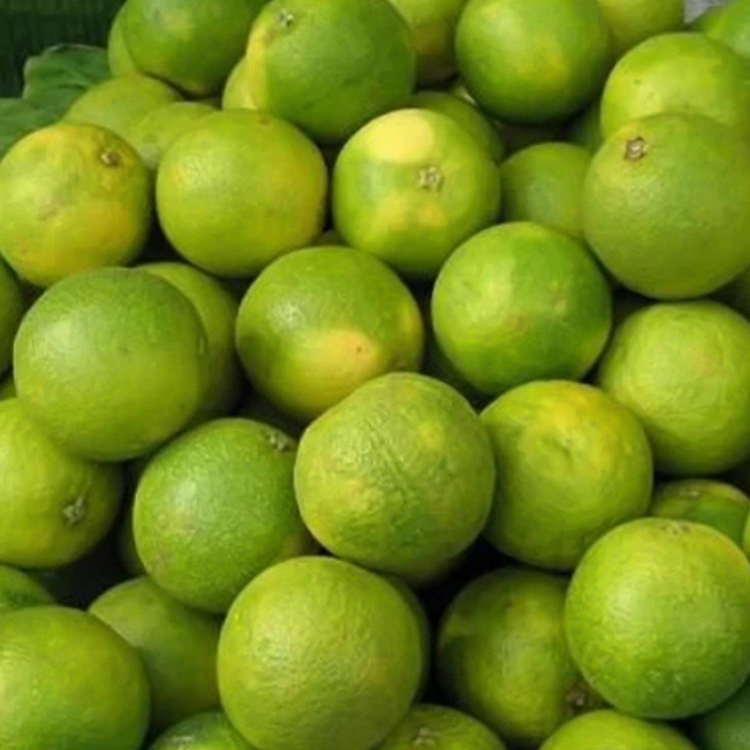 Fresh Sweet Limes